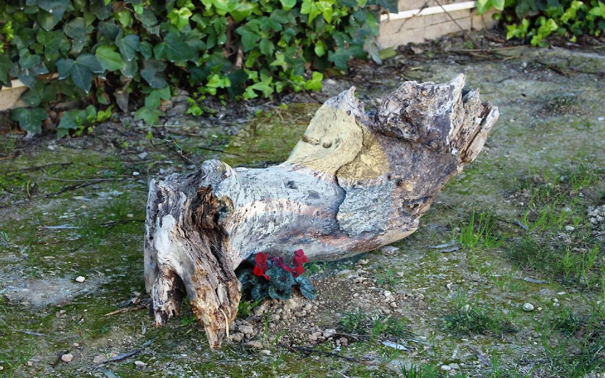 Barraca Tipica Del Delta, Con Piscina, Jardin Y Barbacoa - Deltavacaciones Βίλα Sant Jaume d'Enveja Εξωτερικό φωτογραφία