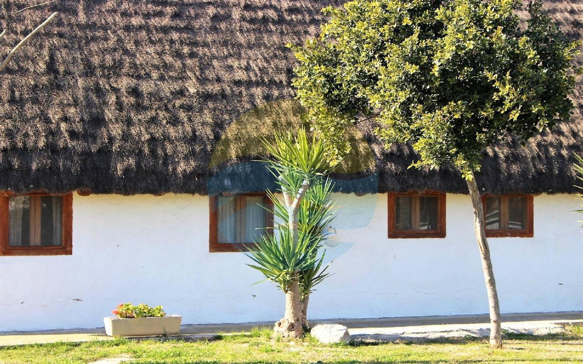 Barraca Tipica Del Delta, Con Piscina, Jardin Y Barbacoa - Deltavacaciones Βίλα Sant Jaume d'Enveja Εξωτερικό φωτογραφία